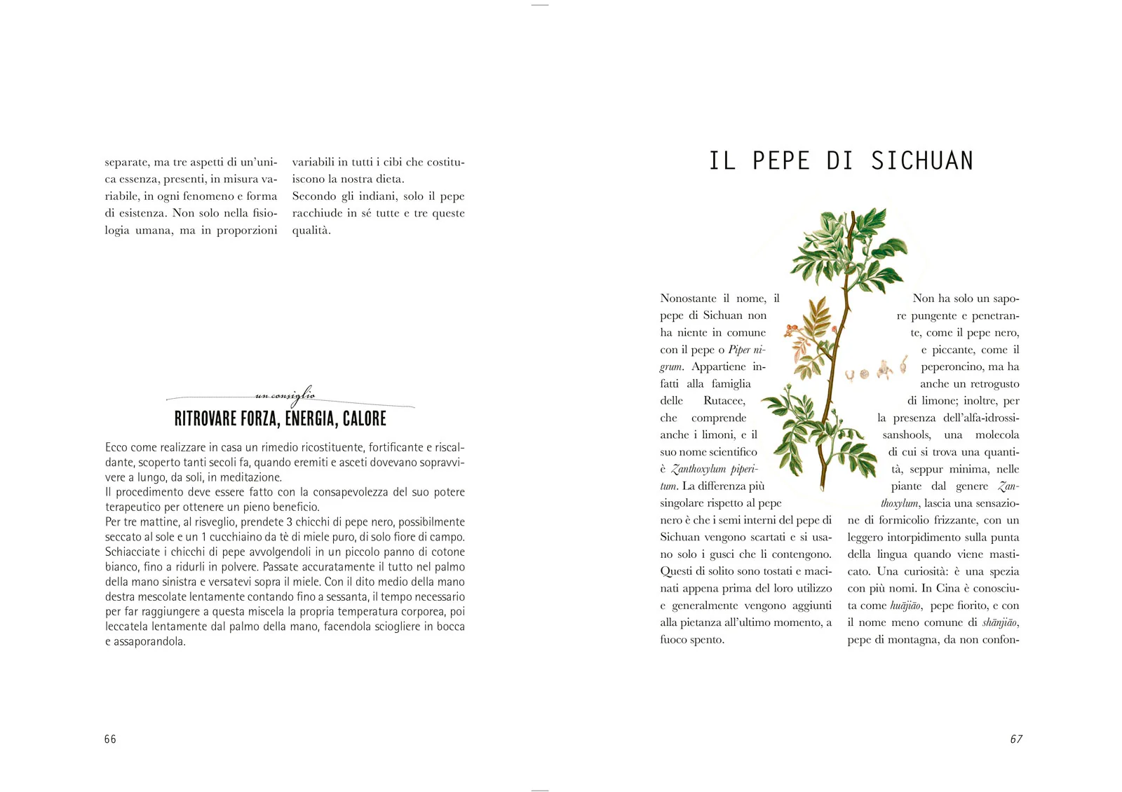 Immagine prodotto 5