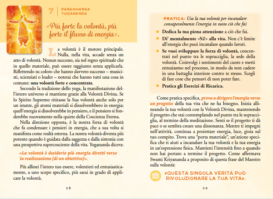 Immagine prodotto 3