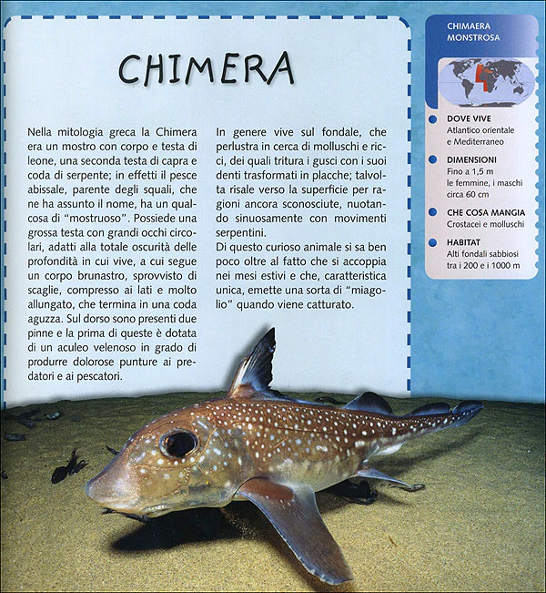 Immagine prodotto 3