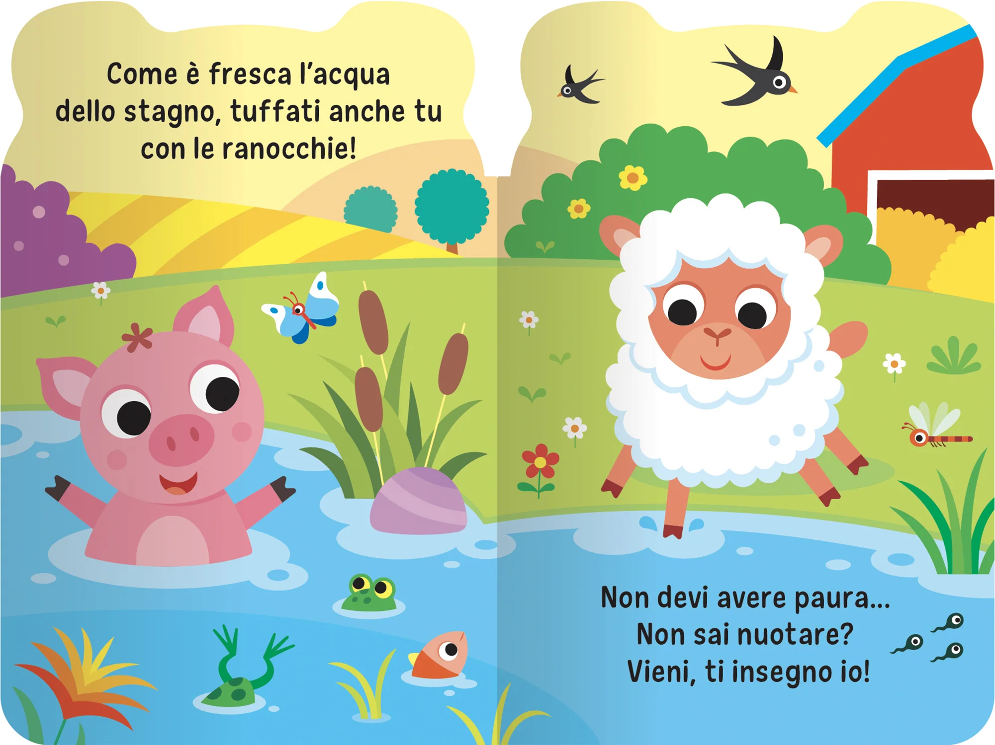 Immagine prodotto 4