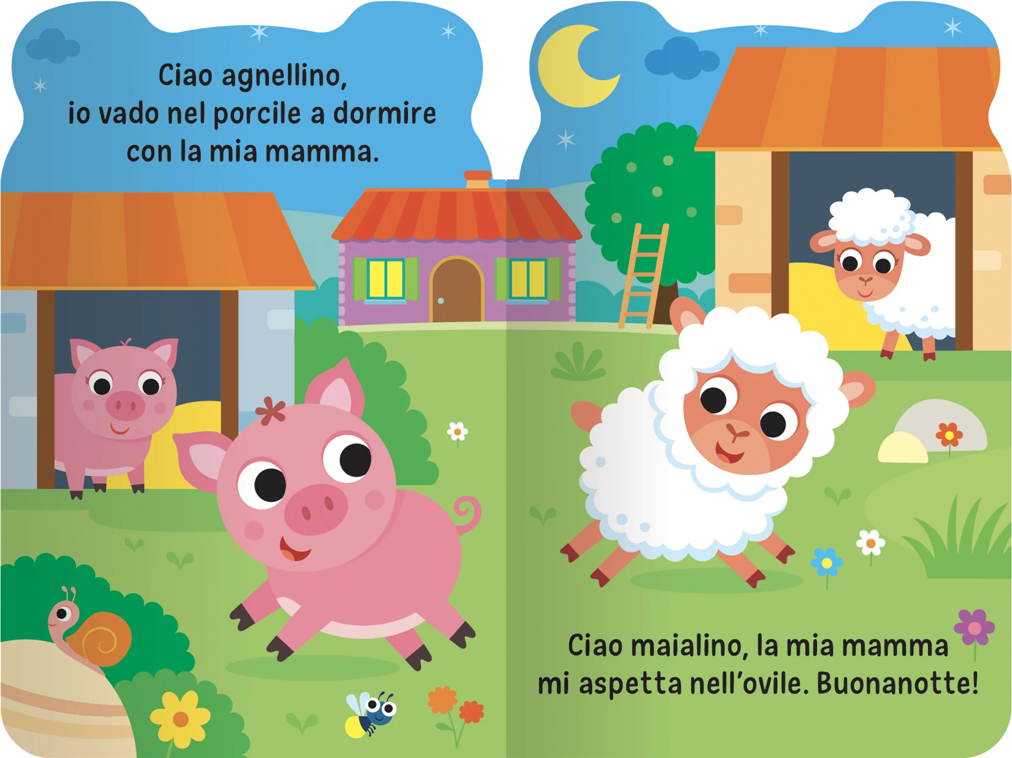 Immagine prodotto 5