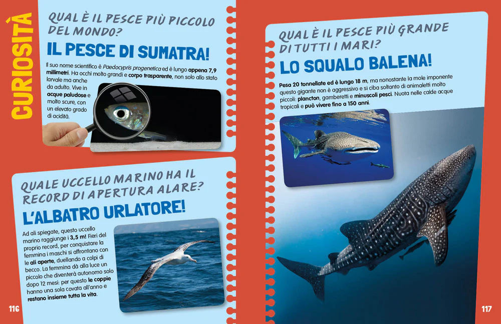 Immagine prodotto 4