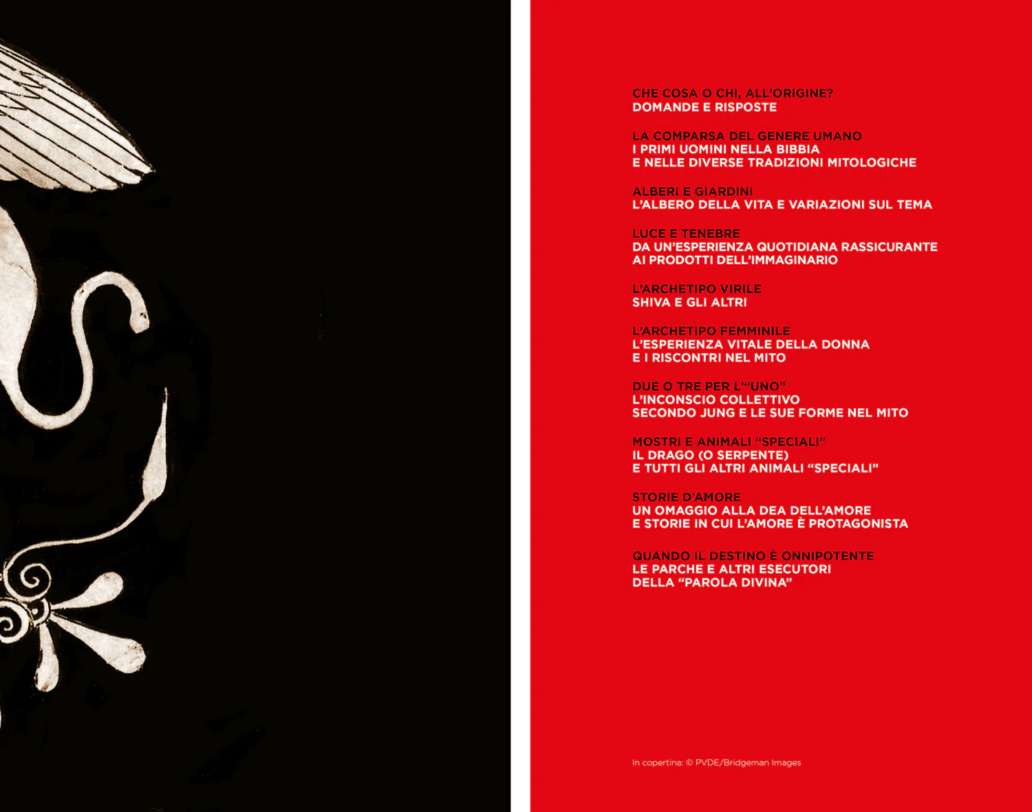 Immagine prodotto 3