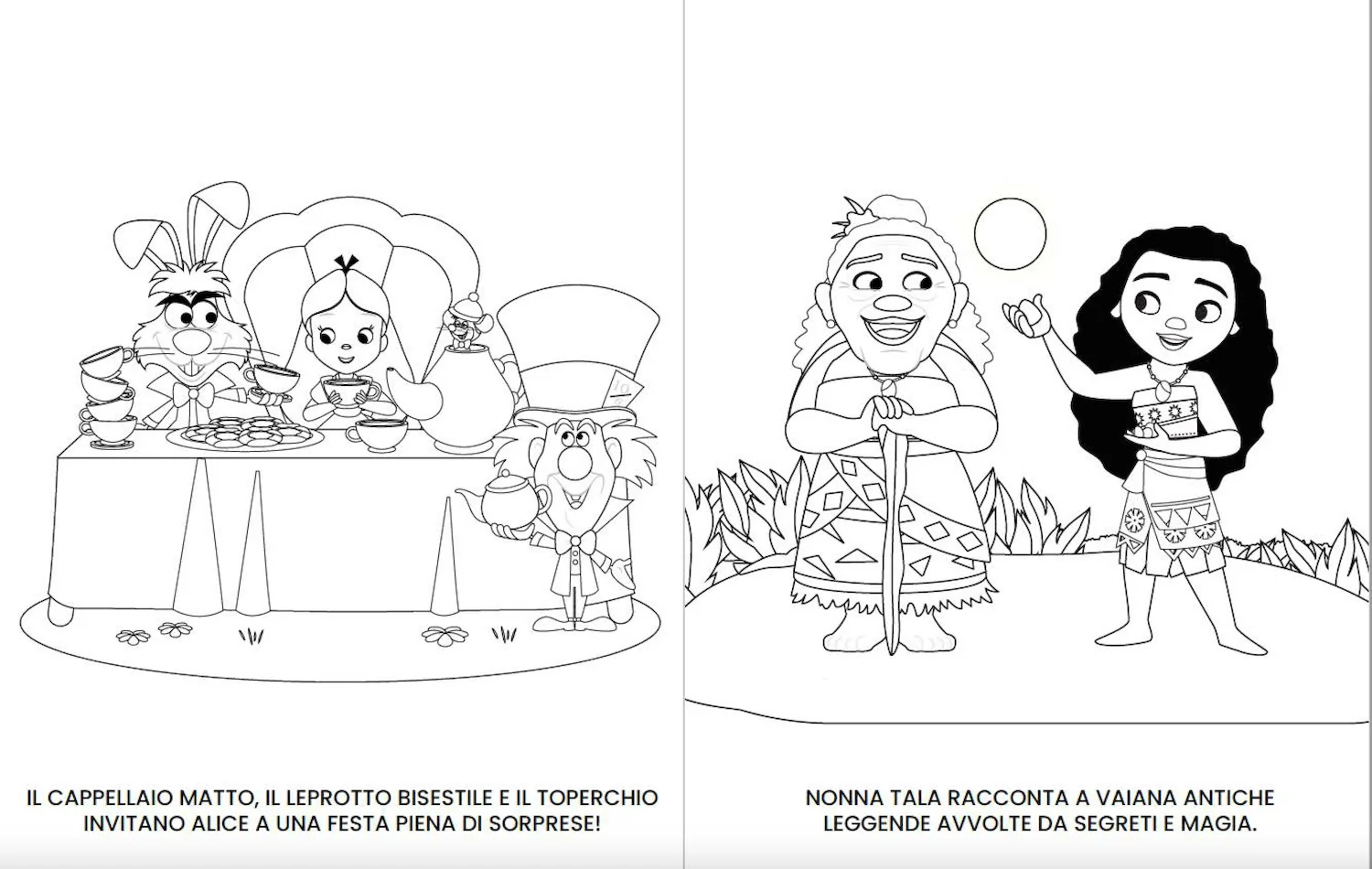 Immagine prodotto 3