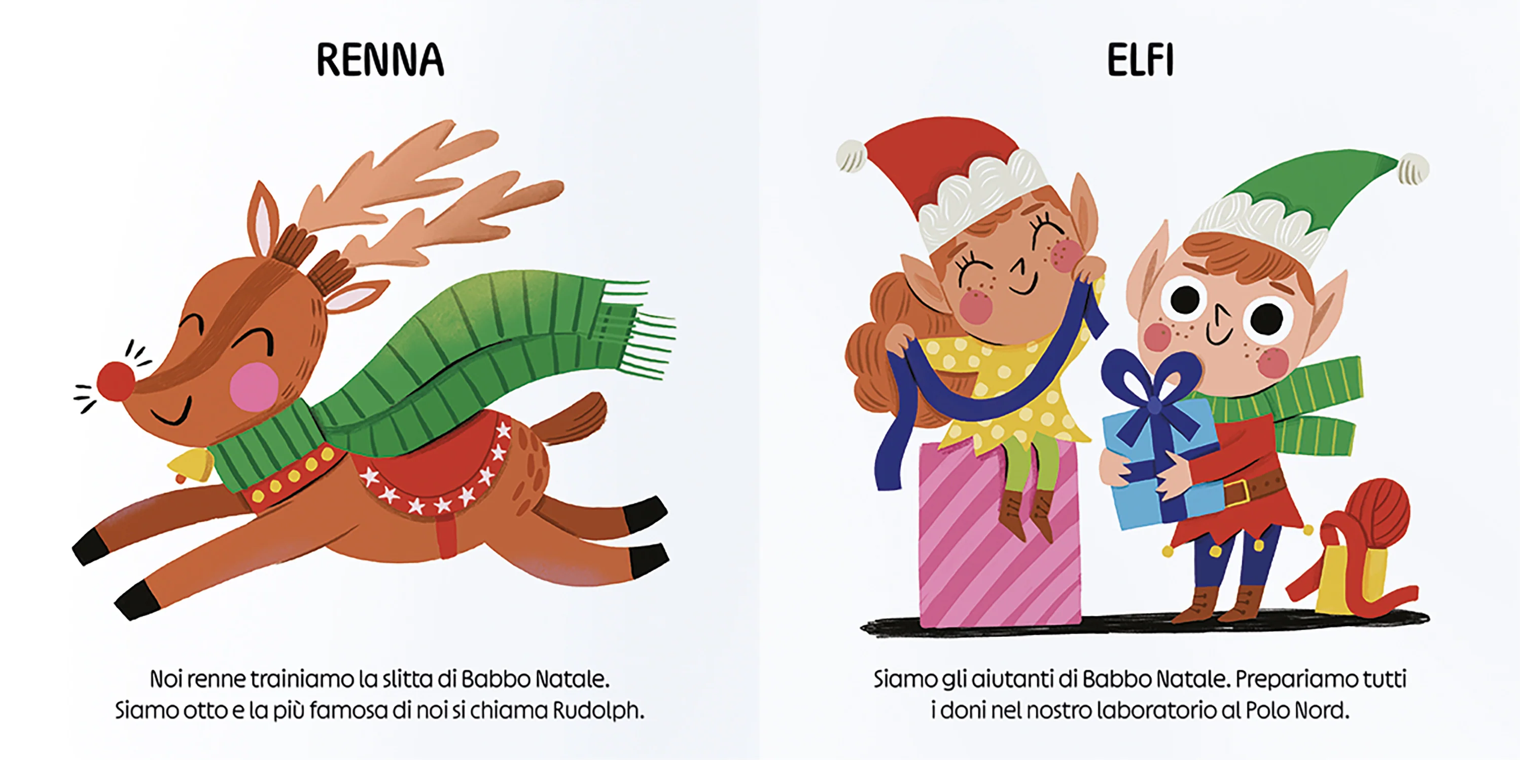 Immagine prodotto 4