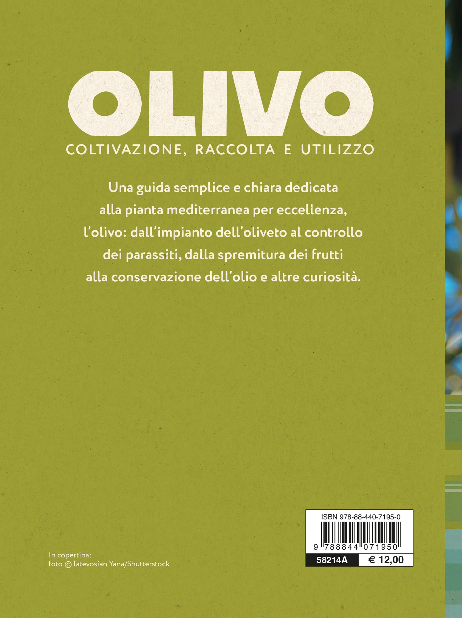 Immagine prodotto 2