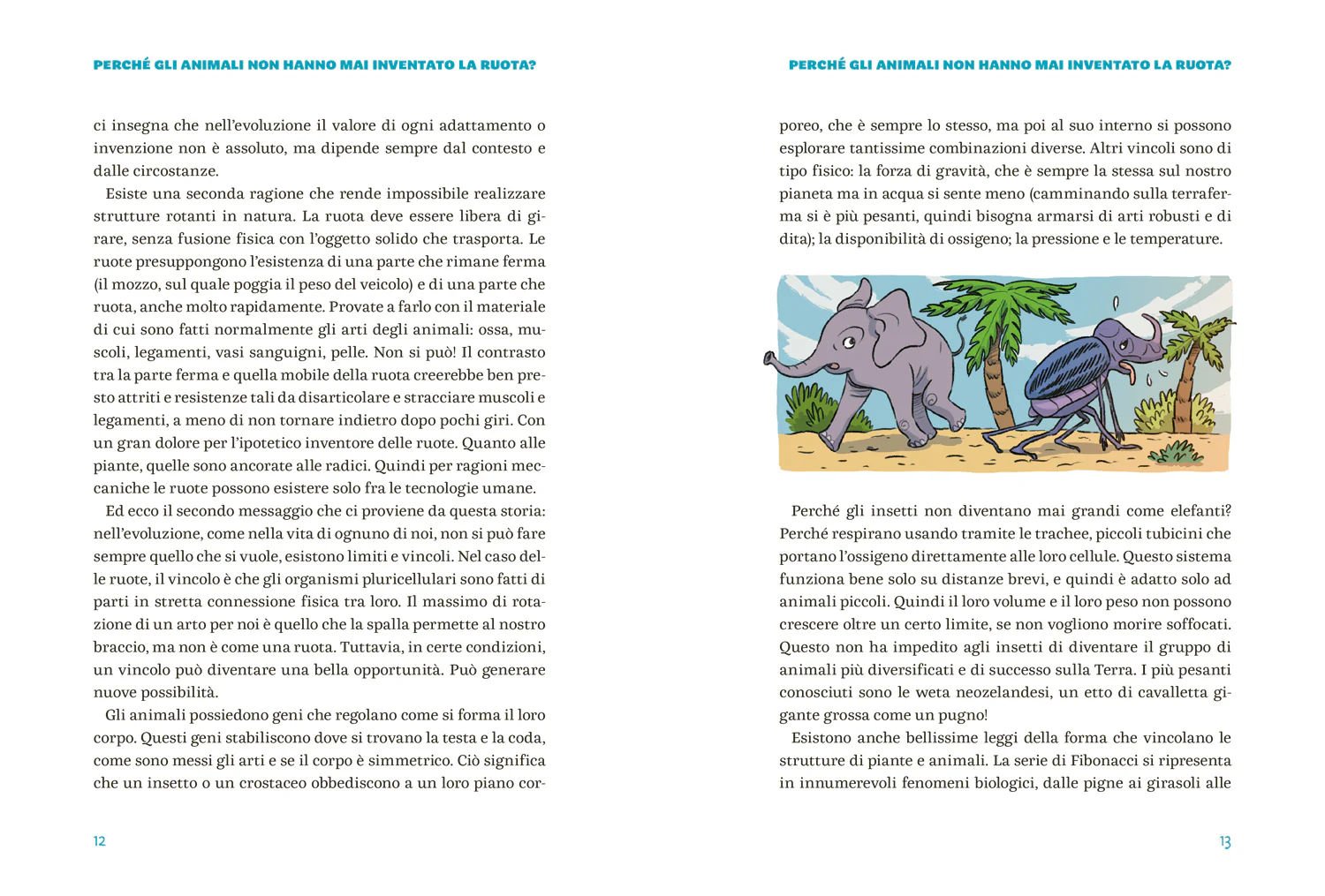 Immagine prodotto 4
