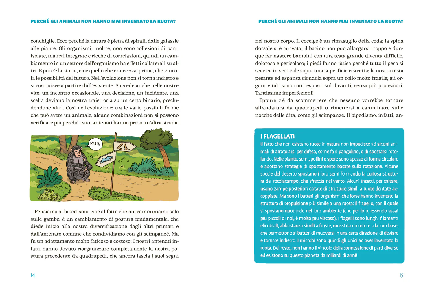 Immagine prodotto 5