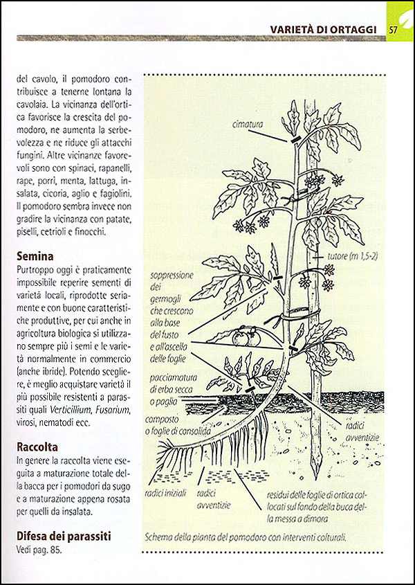 Immagine prodotto 5