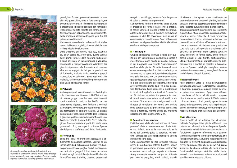 Immagine prodotto 3