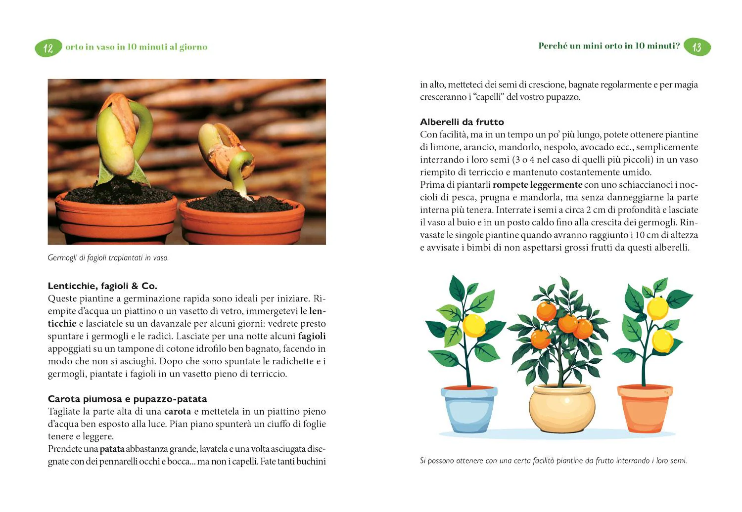Immagine prodotto 4