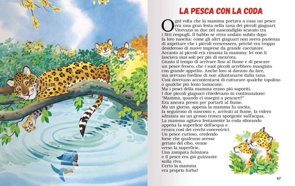 Immagine prodotto 4