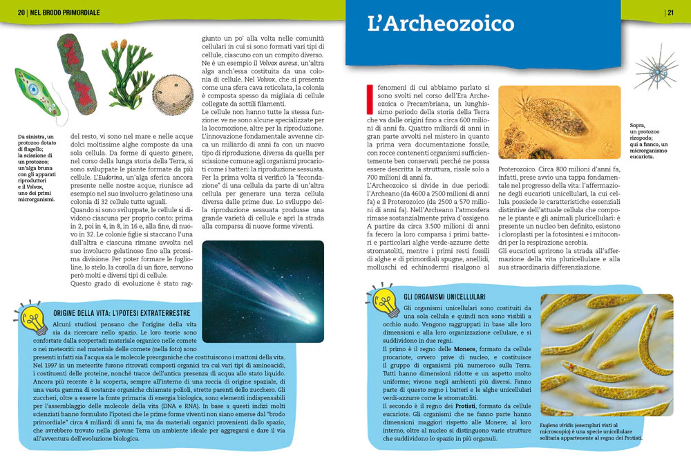 Immagine prodotto 3