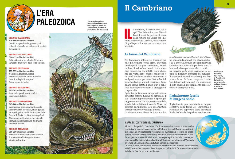 Immagine prodotto 4
