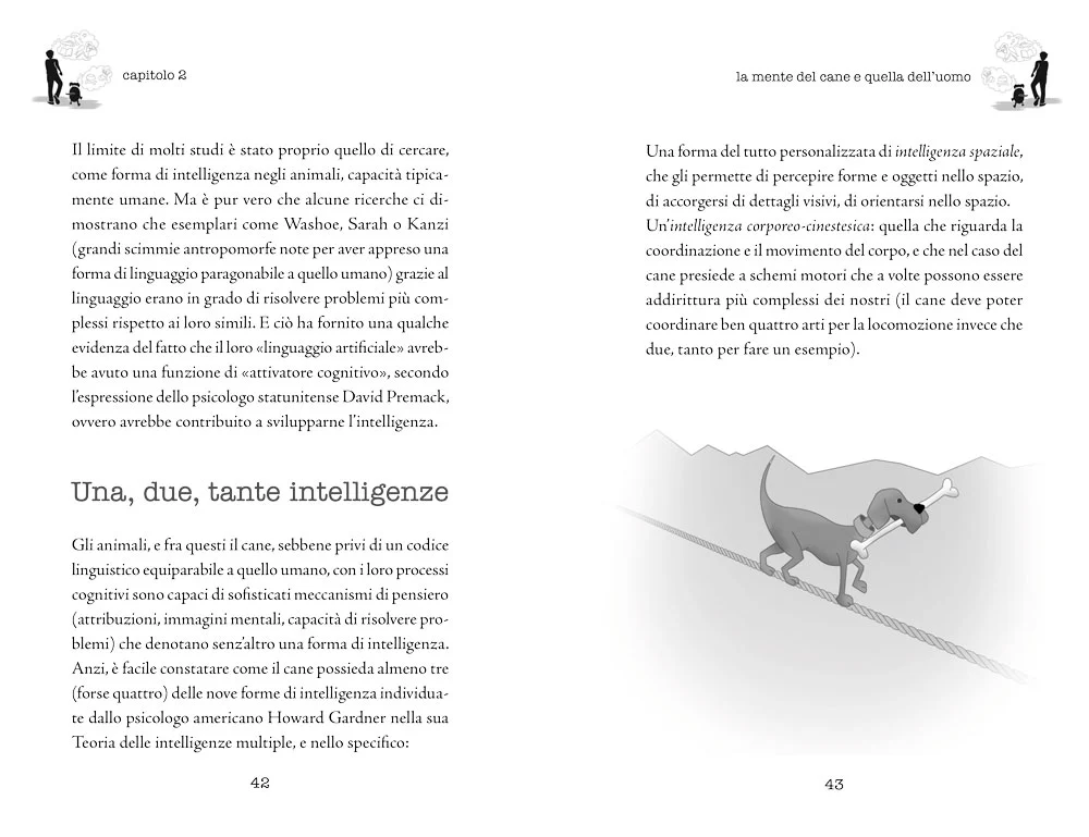 Immagine prodotto 3