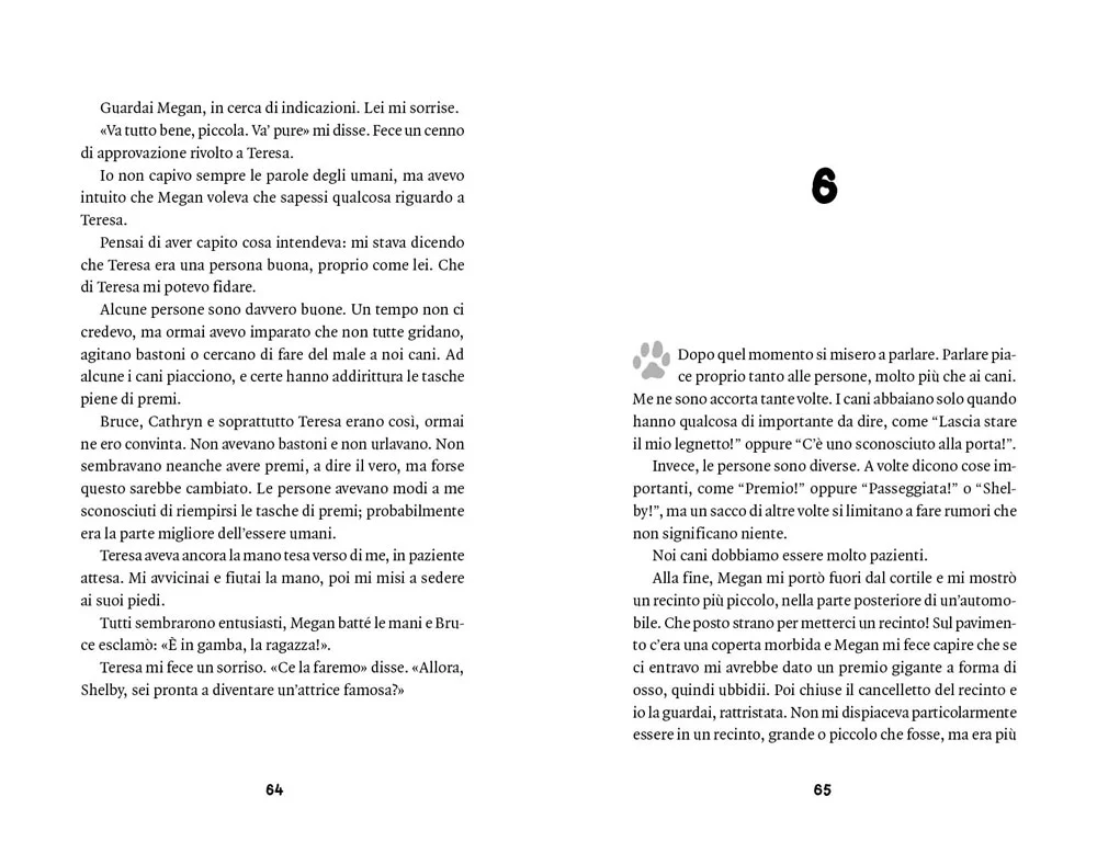 Immagine prodotto 5