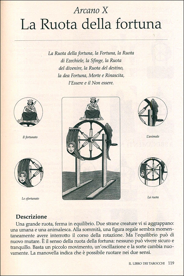 Immagine prodotto 5