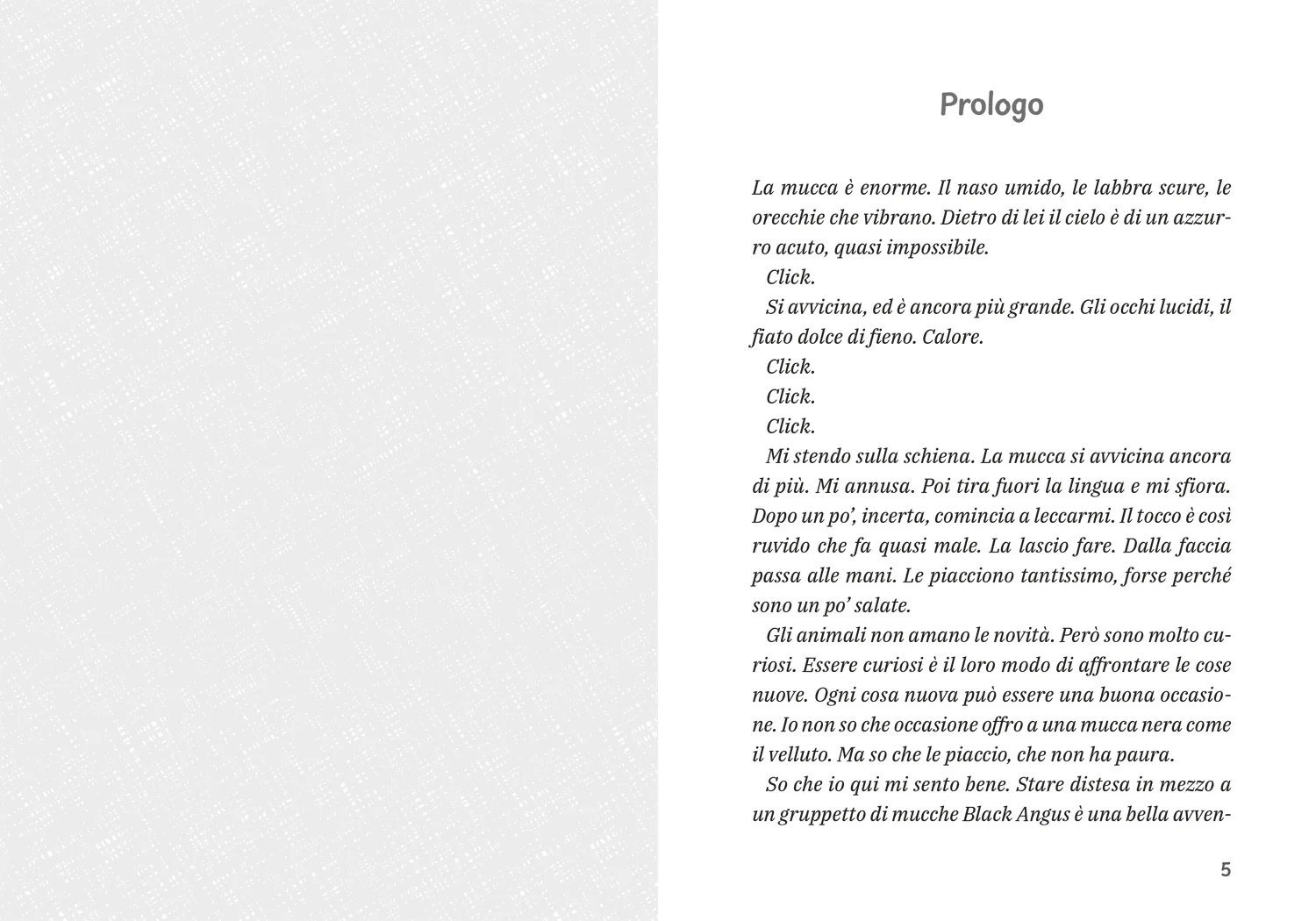 Immagine prodotto 3