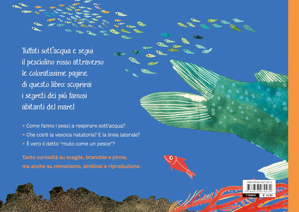 Immagine prodotto 2
