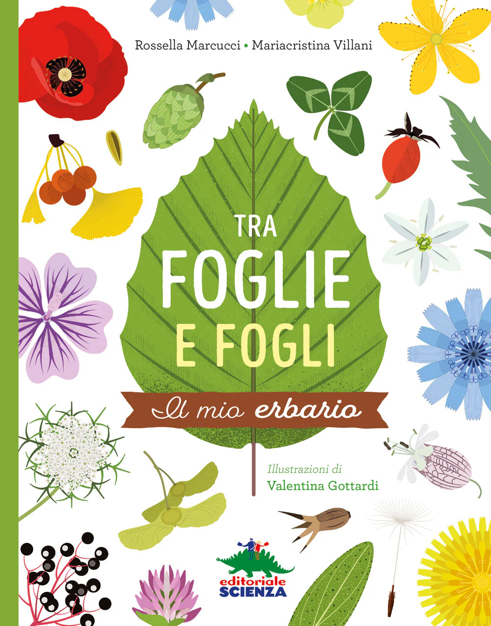 Immagine prodotto 1