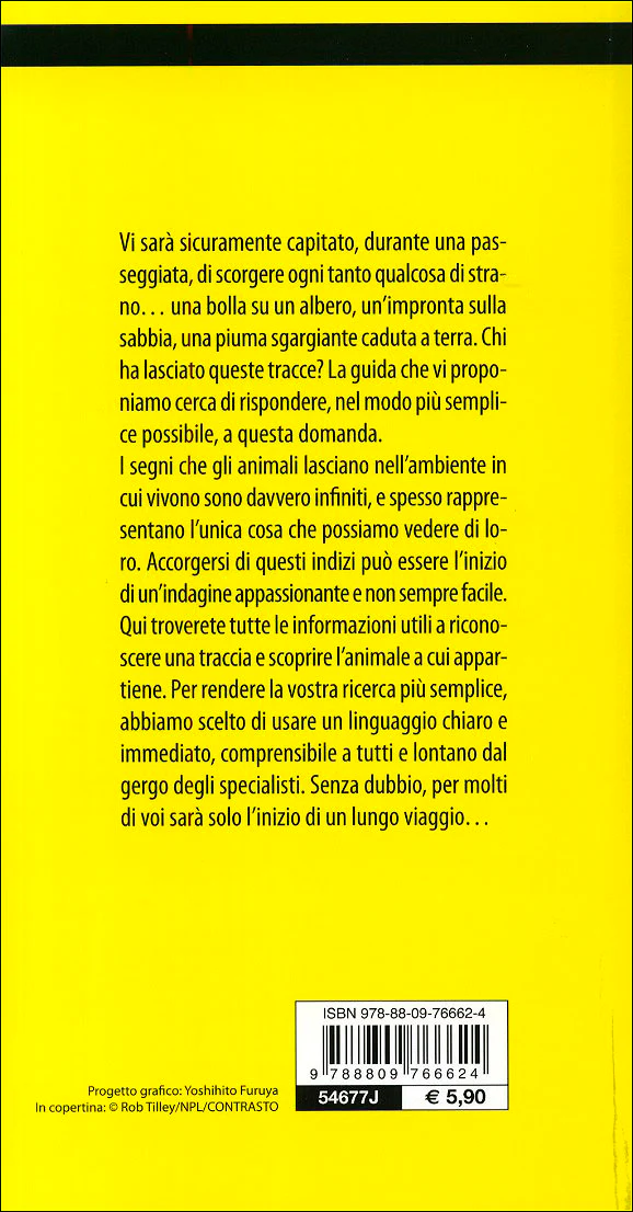 Immagine prodotto 2
