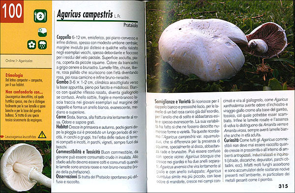 Immagine prodotto 3