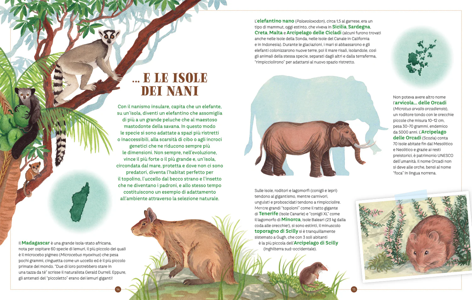 Immagine prodotto 5
