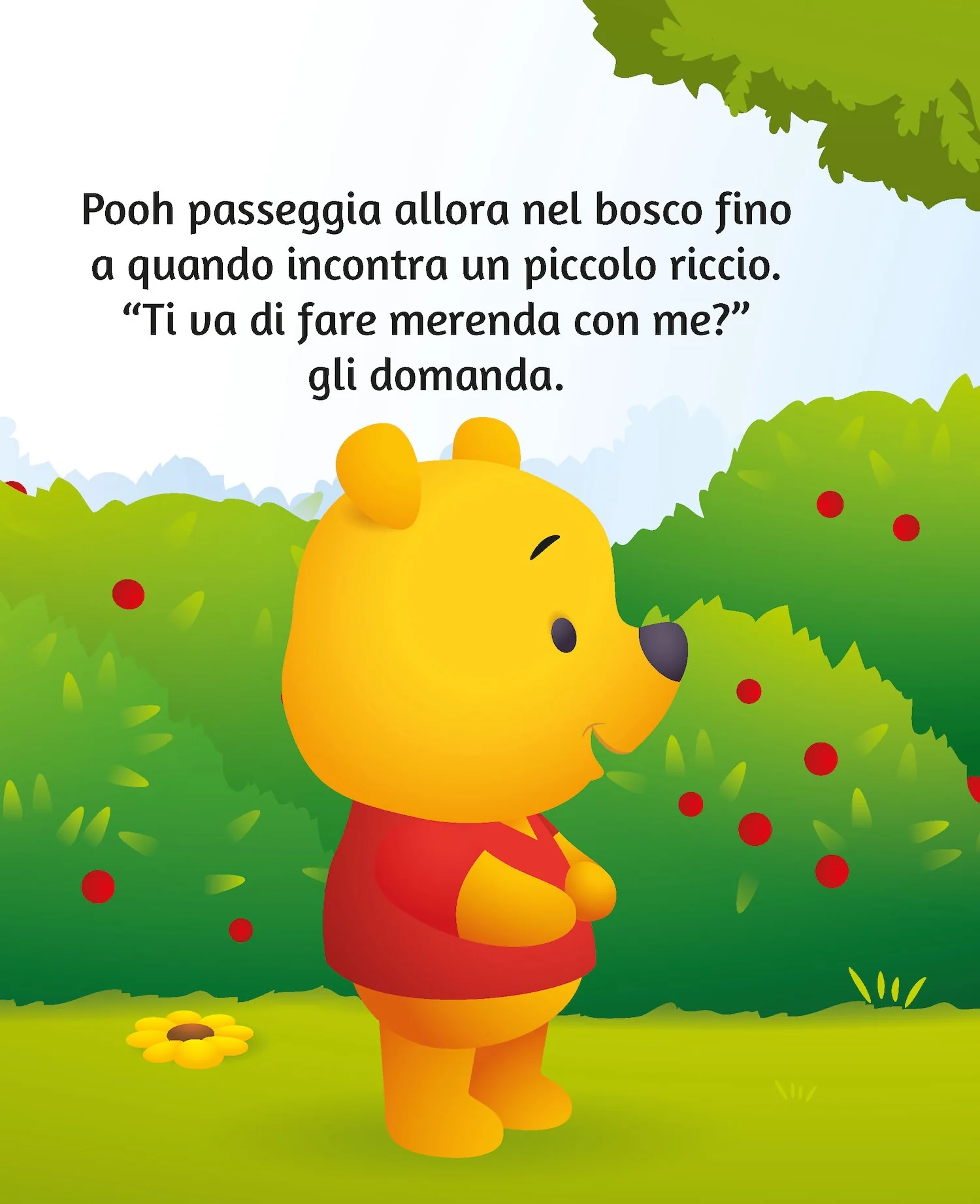 Immagine prodotto 4