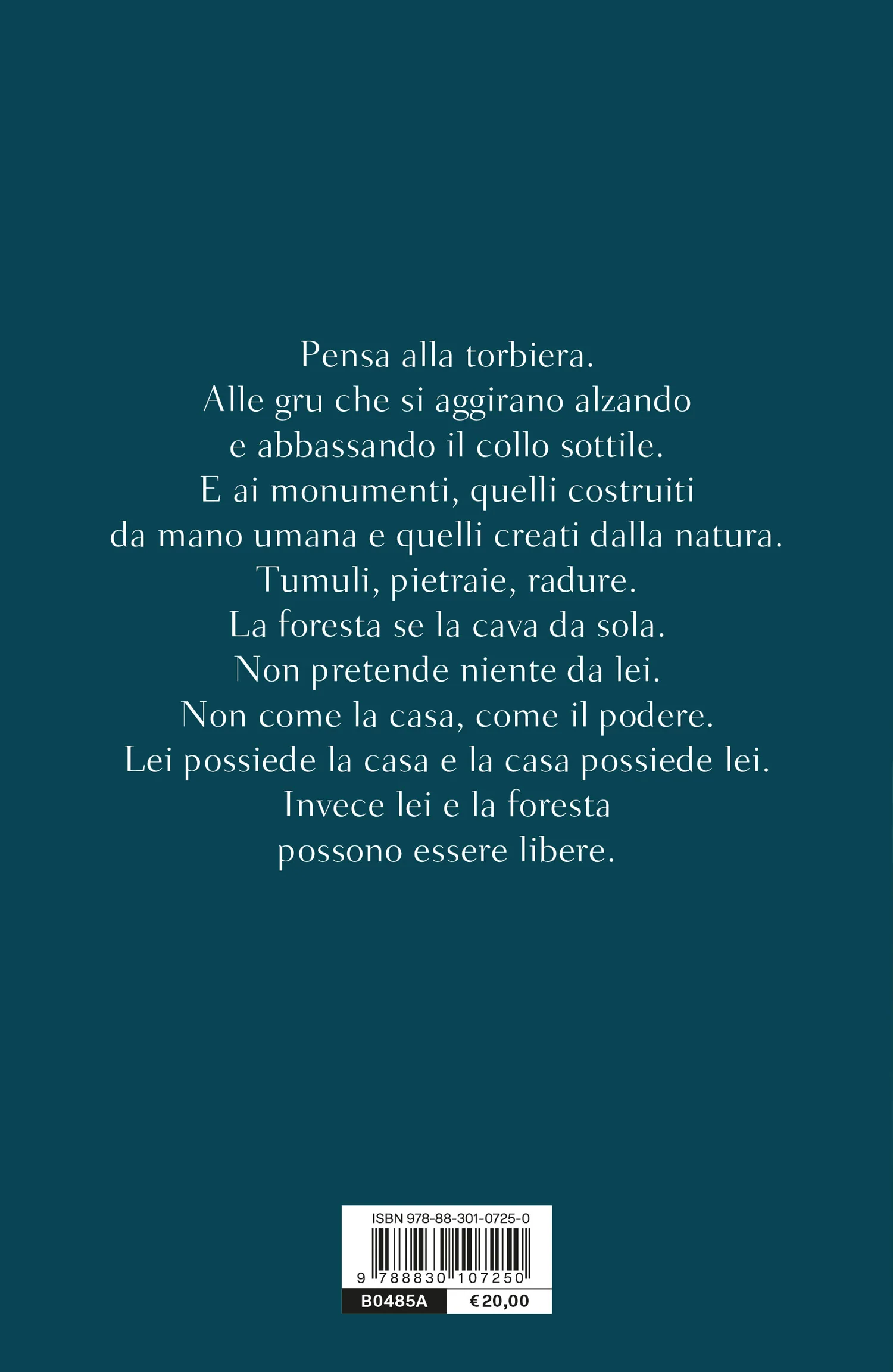 Immagine prodotto 2