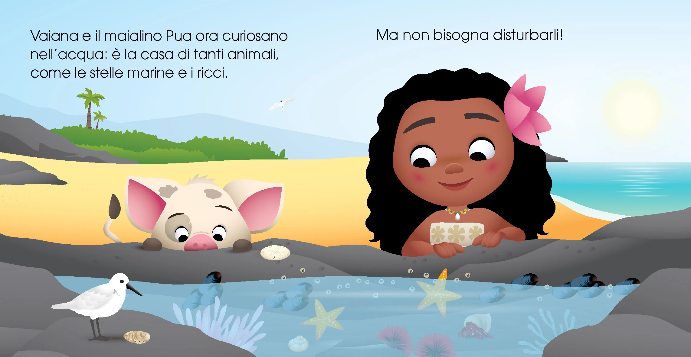 Immagine prodotto 3